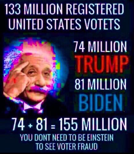 2020 VOTER FRUAD