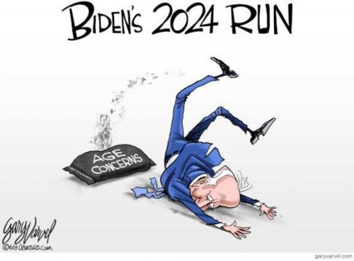 M Biden run