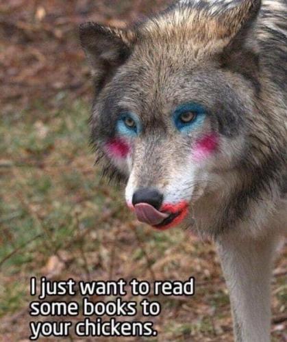 DRAG QUEEN BOOK CLUB