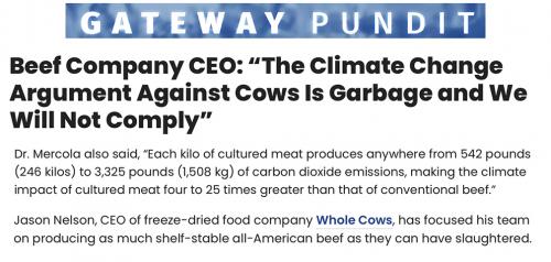climate & cows stupid