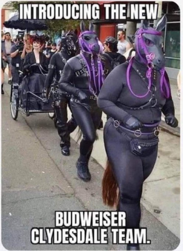 the new clydesdales