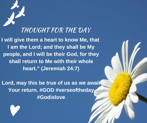 TWEET 6-14-23