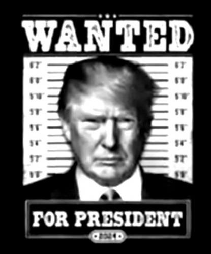 Trump ~Wanted for President~