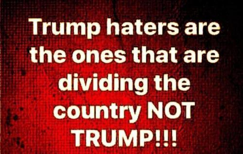 M Trump haters