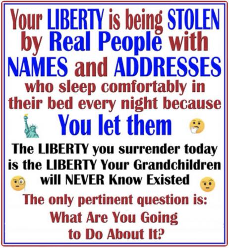 Liberty Stolen