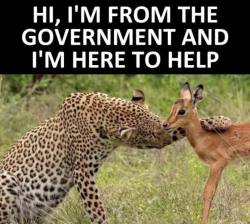 Government - Here to help