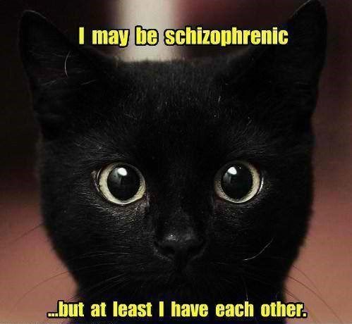 Schizophrenic - At least I have each other