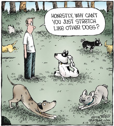 Screenshot 2023-06-15 at 06-28-52 Speed Bump by Dave Coverly for June 15 2023 GoComics