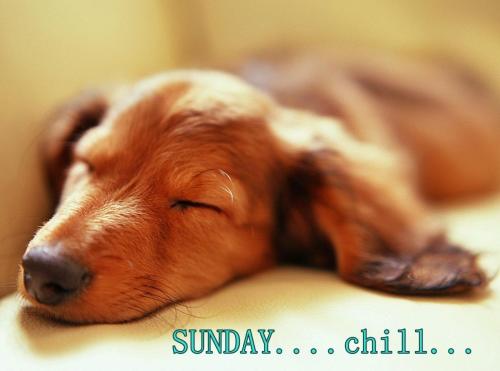 e36aef950fd358c2