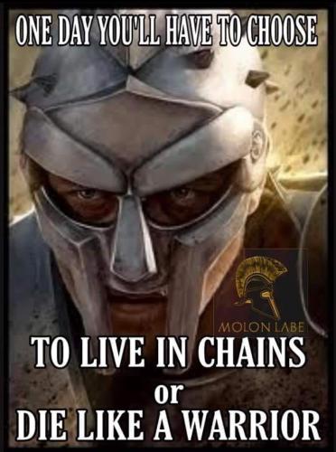 Live or die - Chains or warrior