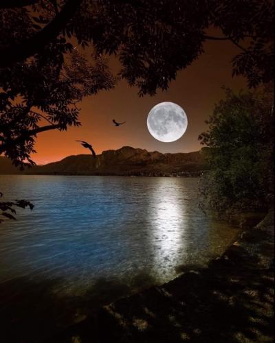 beautiful moon scene