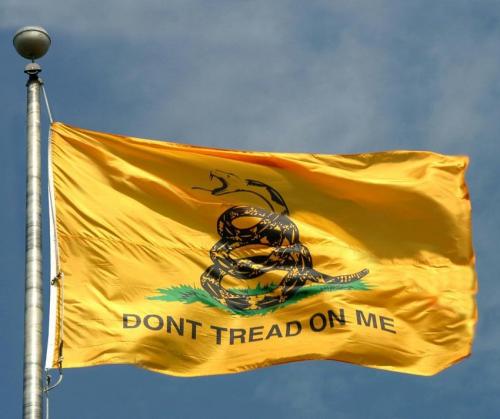 The Gadsden Flag is NOT racist!