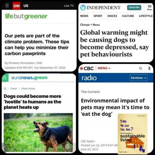 Dogs And The Climate