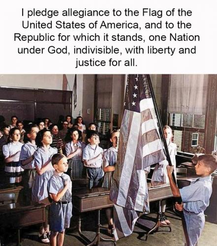 M pledge