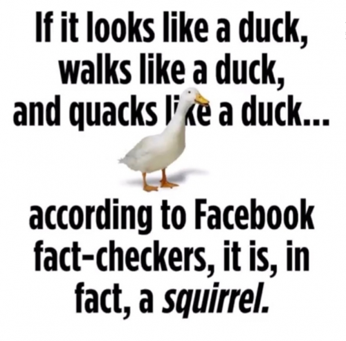M Facebook fact-checkers