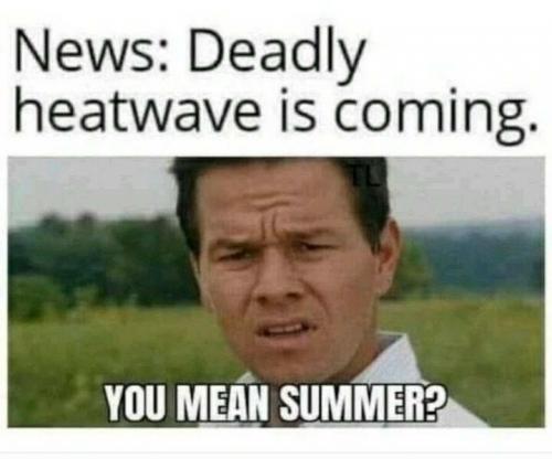 b49c2cfbeddcffaa.jpeg