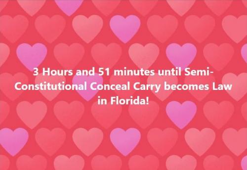 Conceal Carry