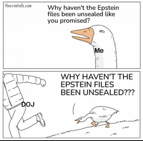 4730211151c5ecae714336fb3d7ee4de_768x0