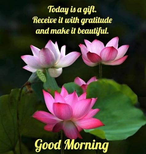 072523 - Today a gift