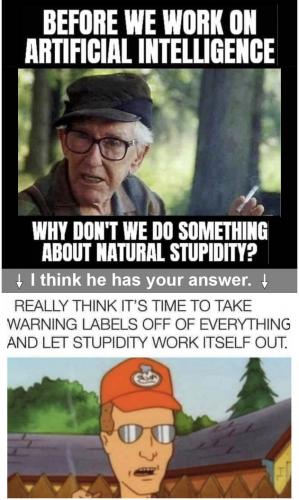 AI & Stupid