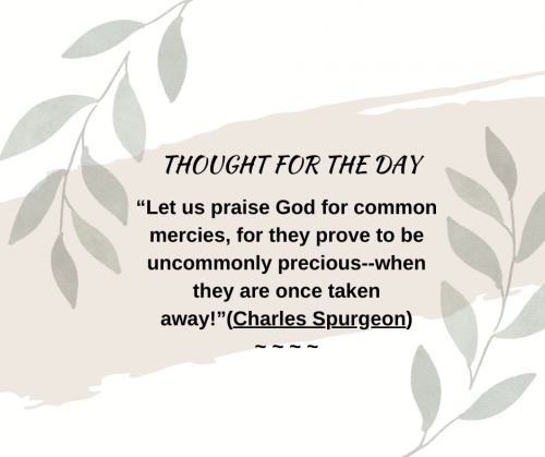 TWEET 7-22-23