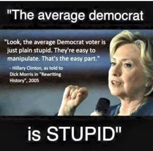 STUPID   TS
