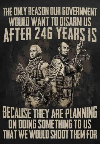 RO disarm us