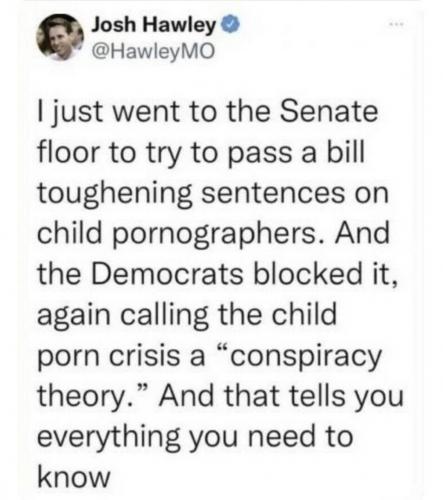 CHILD PORN CRISIS   TS