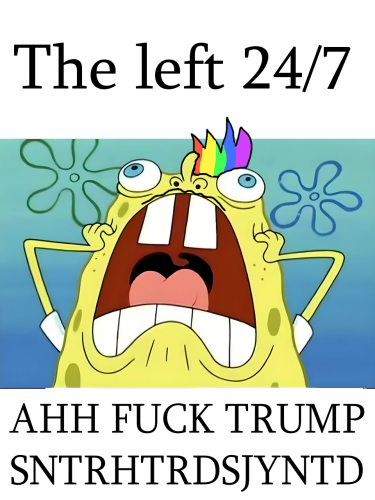 Sponge