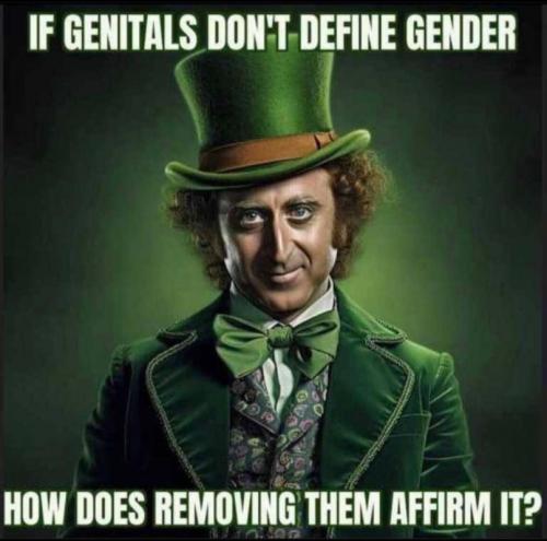 M Genitals