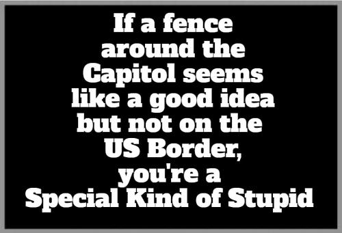 special kind of stupid