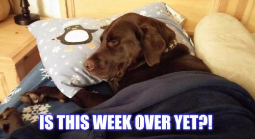 Is This week Over Yet
