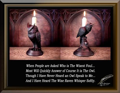 Raven and The Owl ~Wise Foul~