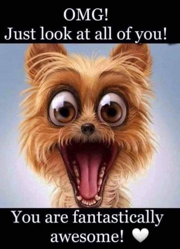 Just look at all of you