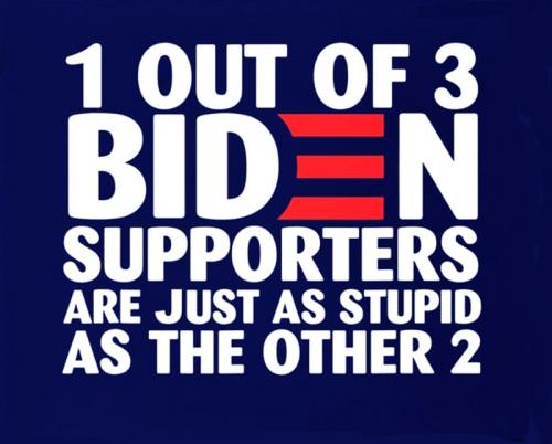 Biden Support
