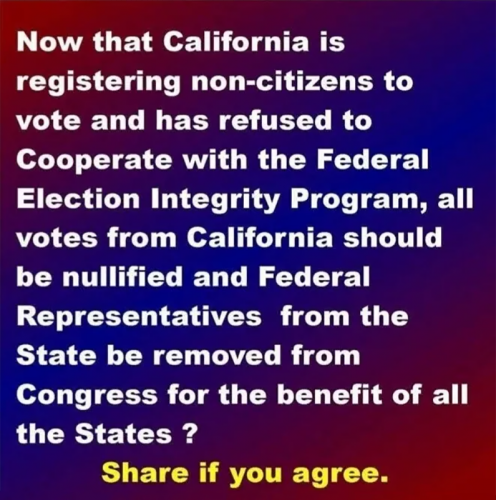 M California non citizens vote