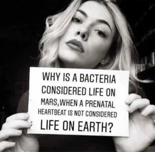 M bacteria