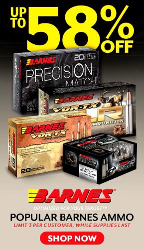 Ammo Sale