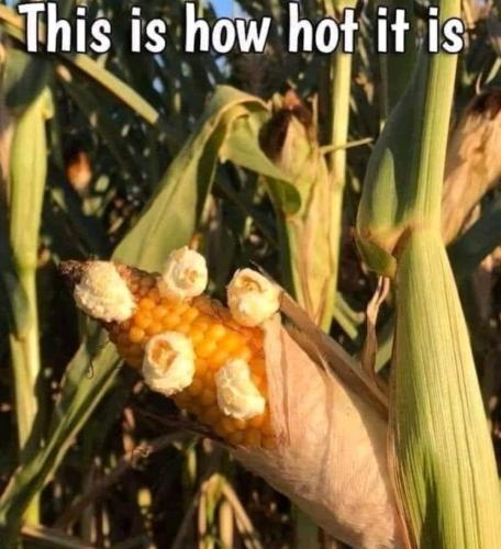 IMG_20230720_144426_770