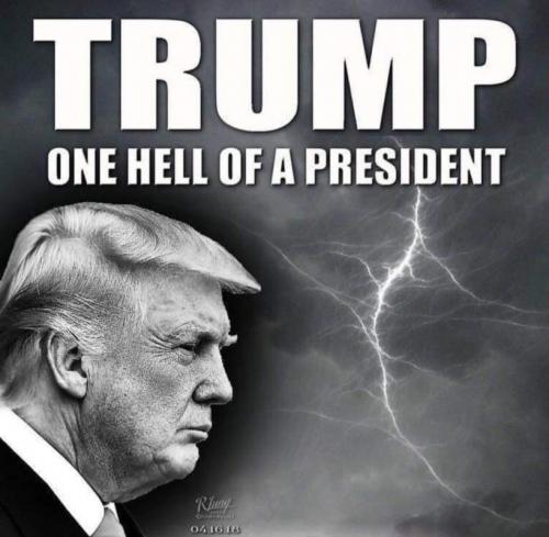 M Trump president