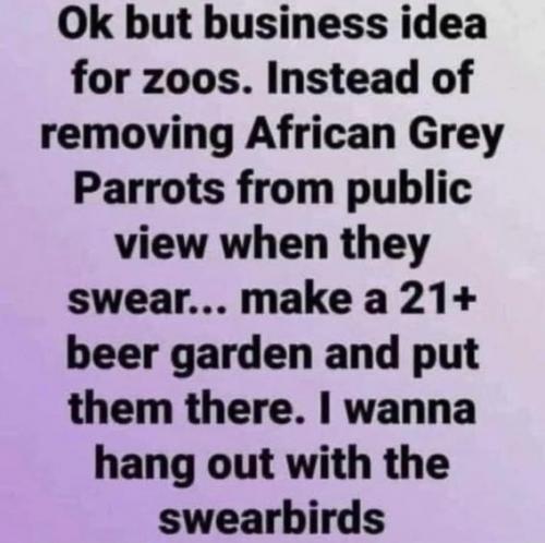 African Grey Parrots