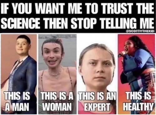 M want trust
