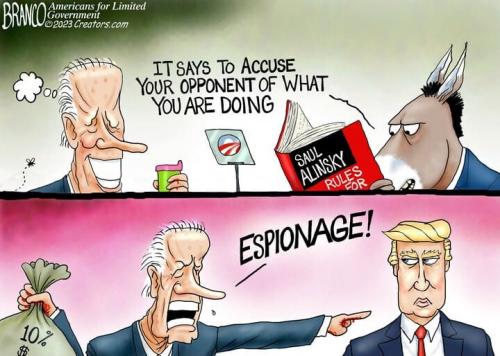 Accuse Your Opponent