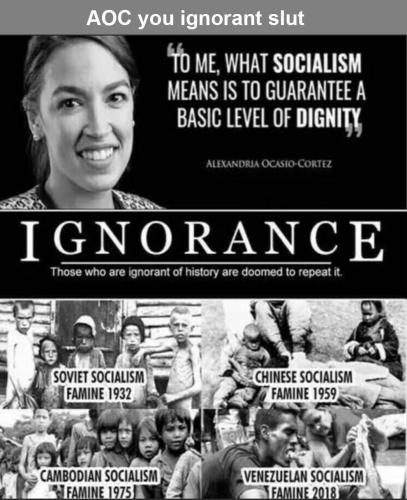 AOC ignorant 13