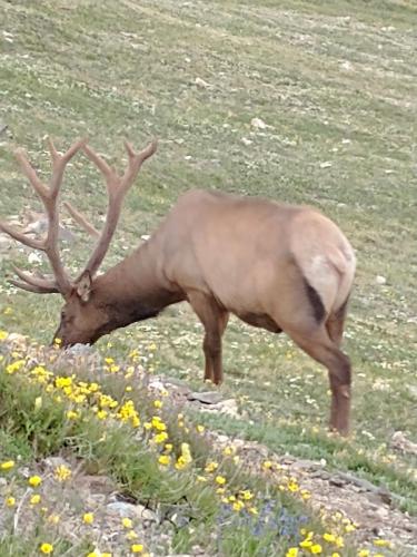 3fc01383-d013-4d20-9b7d-90e8661a9e85