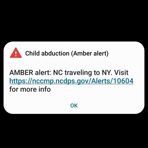 IMG_20230708_081730_654