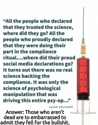 Where have all the snowflakes gone.960px