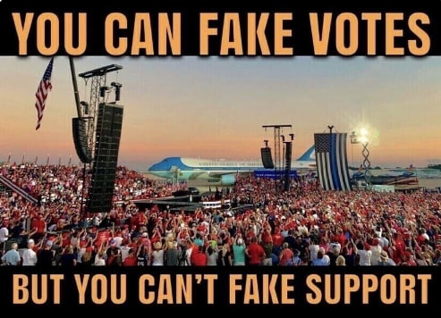 fake votes2
