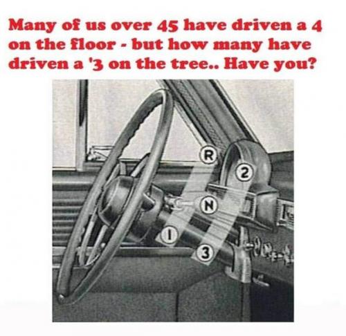 B 3 on a tree