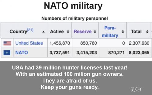 NATO vs USA